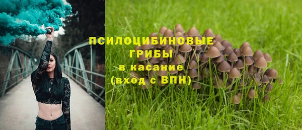 тгк Абинск
