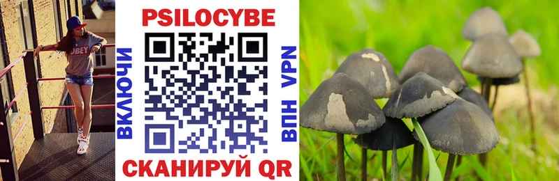 Псилоцибиновые грибы MAGIC MUSHROOMS  купить  сайты  Осташков 